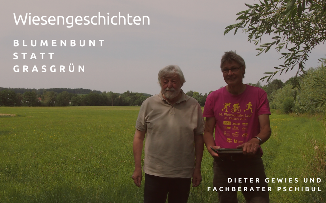 Blumenbunt statt grasgrün