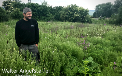 Blühfläche statt Maisanbau