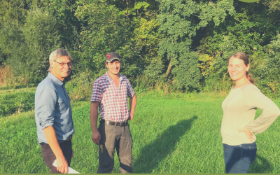 Artenreiche Wiesen für Galloways