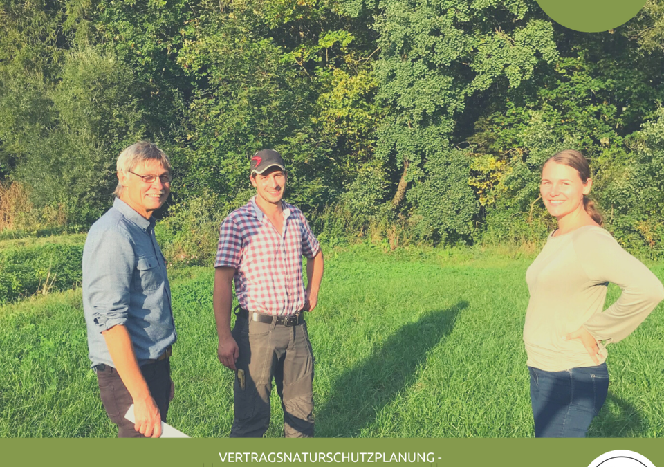 Artenreiche Wiesen für Galloways