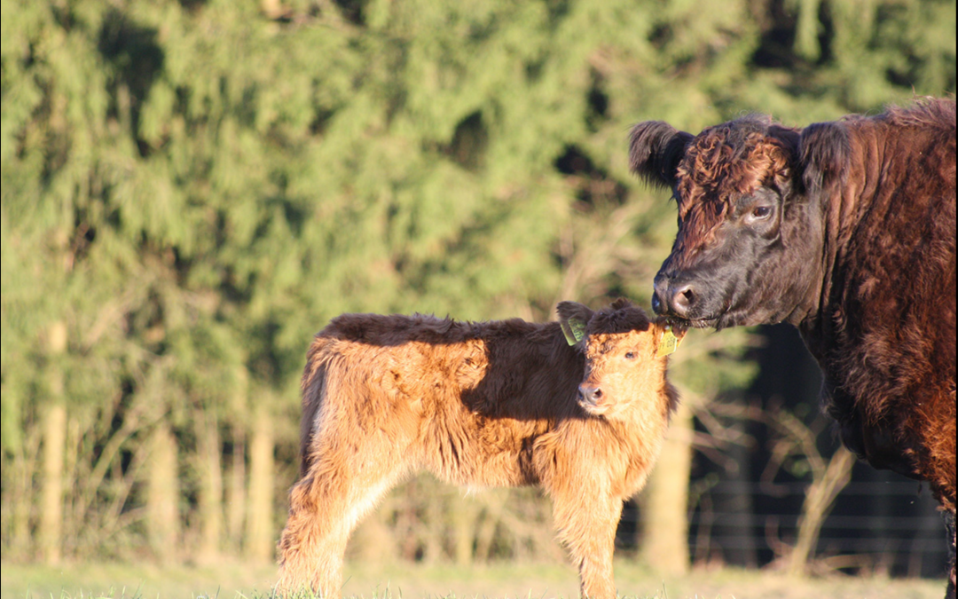 Noch mehr Freiheit in Garneck