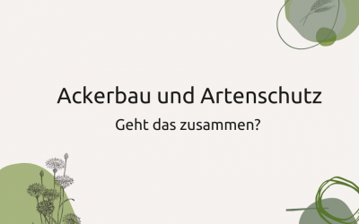 Ackerwildkräuter