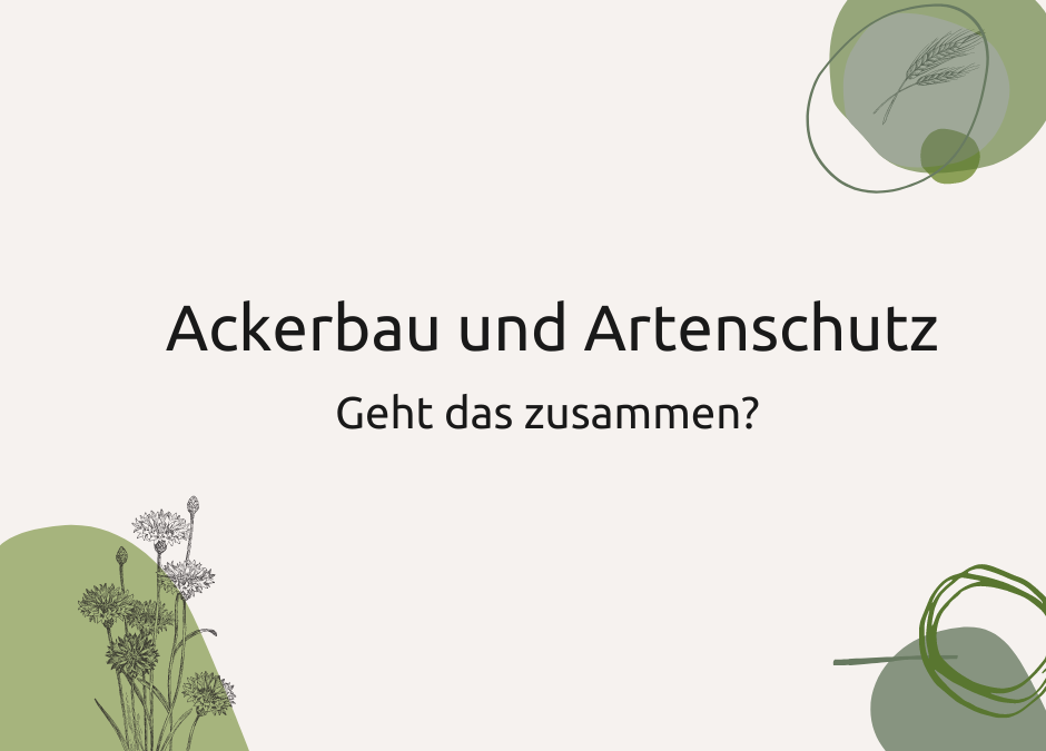 Ackerwildkräuter