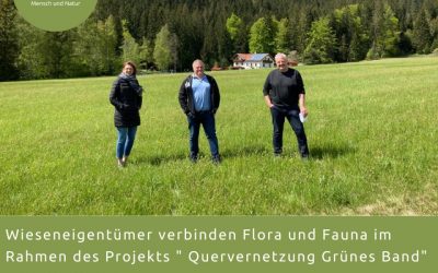 Wiese wird Biotoptrittstein