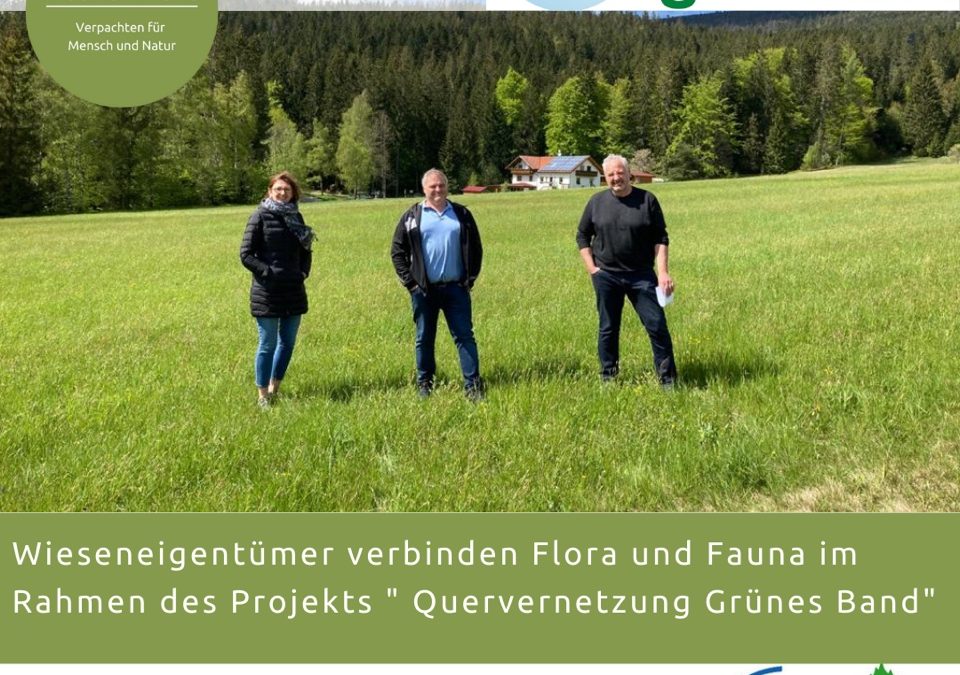 Wiese wird Biotoptrittstein