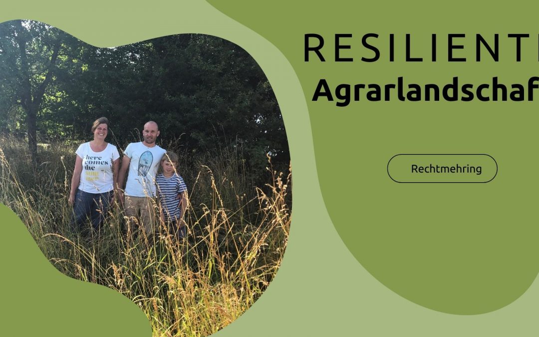 Wasserflächen sorgen für Resilienz