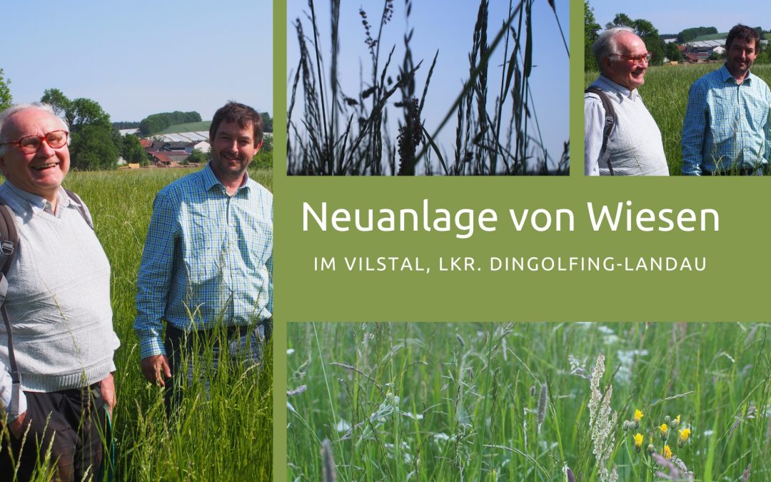 Neuanlage von artenreichen Wiesen
