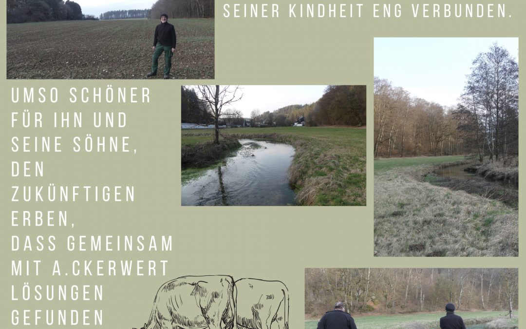 Acker wird artenreiche Wiese