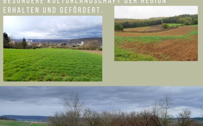 Praxistaugliches Stufenmodell für Karlstadt