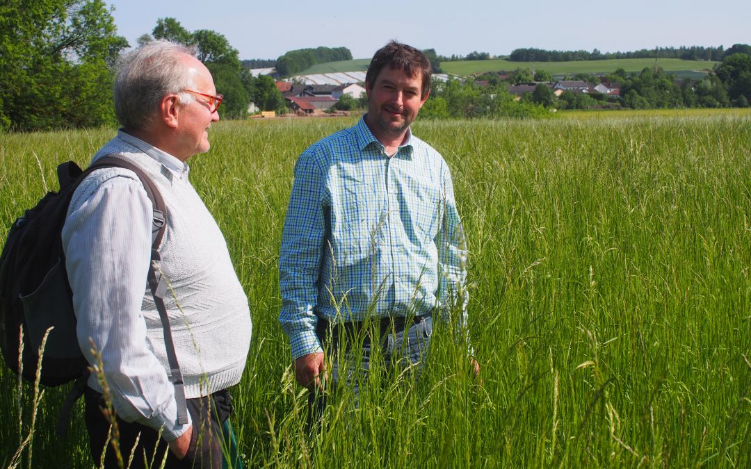 Neuanlage von artenreichen Wiesen