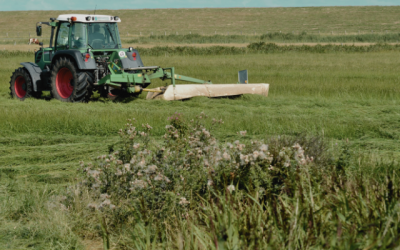 Artenreiche Wiesen gegen Bodenerosion