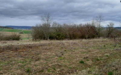 Praxistaugliches Stufenmodell für Karlstadt