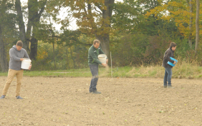 Ackerwildkräuter für Petersdof