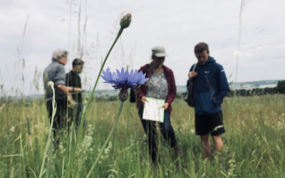 Extensives Ackerland in Teisbach