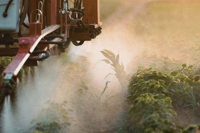 Pestizidverzicht schützt Mensch und Natur